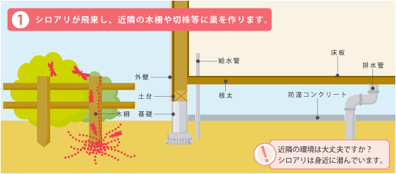 シロアリの国内分布地図