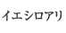 イエシロアリ