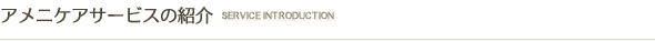 アメニケアサービスの紹介