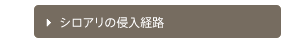 シロアリの侵入経路