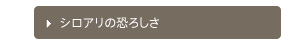 シロアリの恐ろしさ