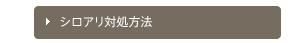 シロアリ対処方法