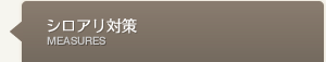 シロアリ対策