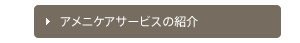 アメニケアサービスの紹介