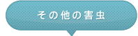 日光二荒神社「神橋」